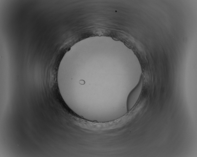 X0000086790043200705111824