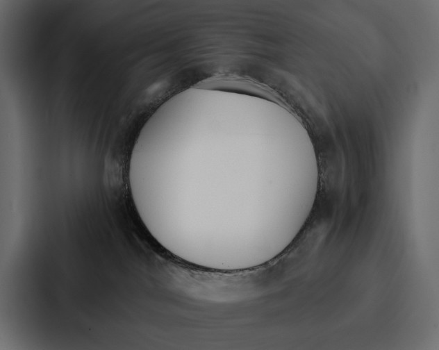 X0000086790044200705111824