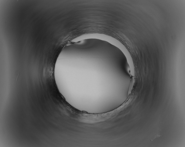 X0000086790045200705111824