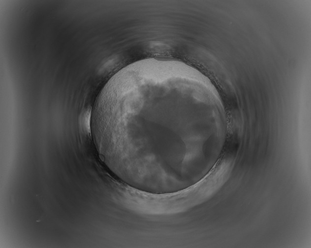 X0000086790047200705111824