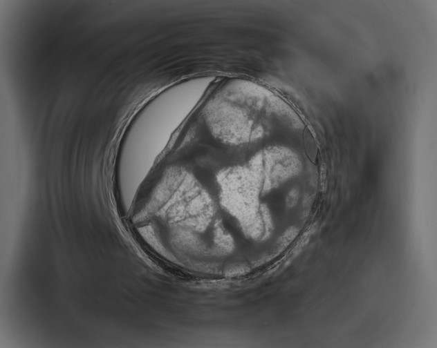 X0000086790049200705111823