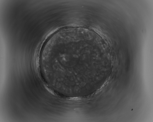 X0000086790050200705111823