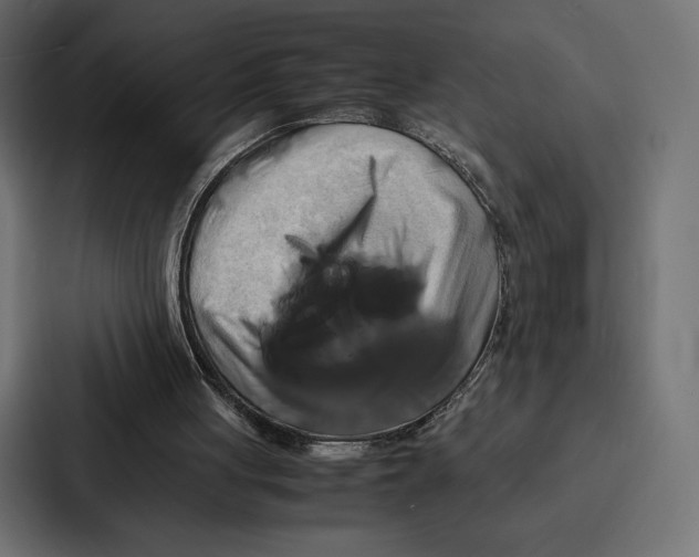 X0000086790051200705111823