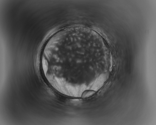 X0000086790053200705111823