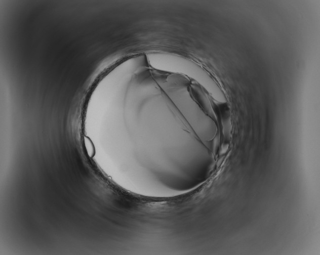 X0000086790054200705111823