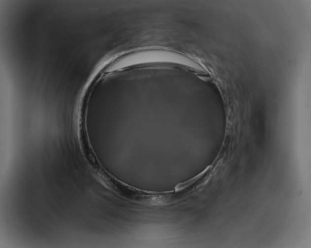 X0000086790056200705111823