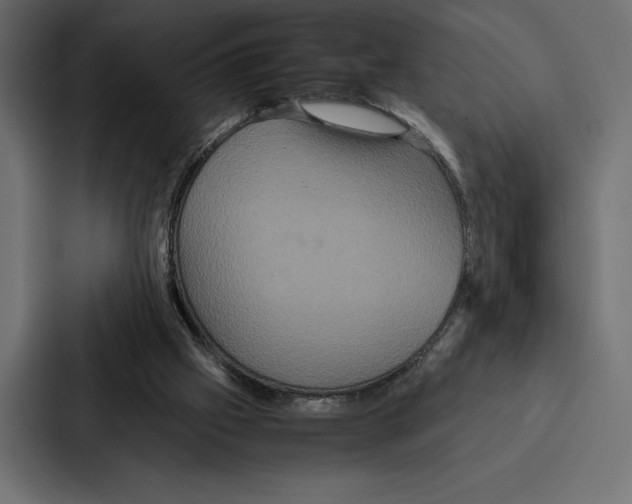 X0000086790057200705111823