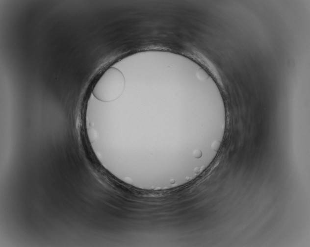 X0000086790059200705111823