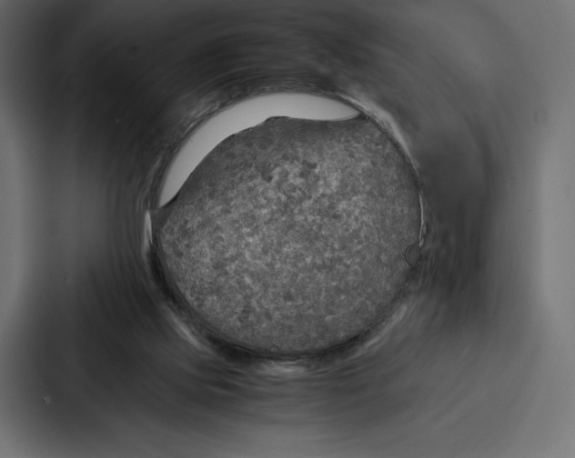 X0000086790061200705111823