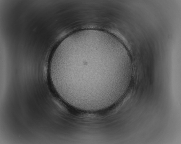 X0000086790063200705111823