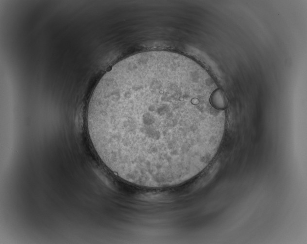 X0000086790065200705111823