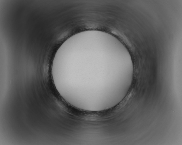 X0000086790066200705111823