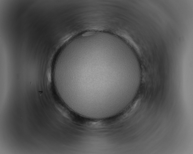 X0000086790068200705111823