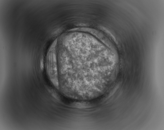 X0000086790069200705111823