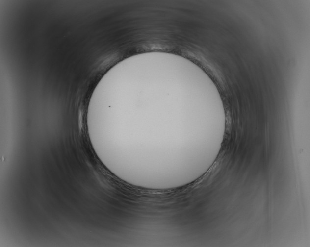 X0000086790070200705111823