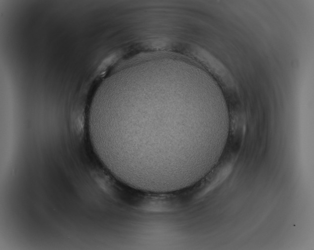 X0000086790072200705111823