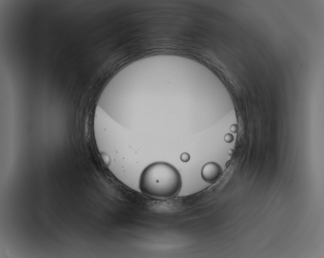 X0000086790074200705111823