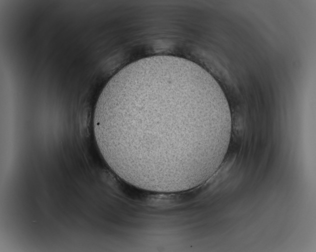 X0000086790082200705111824