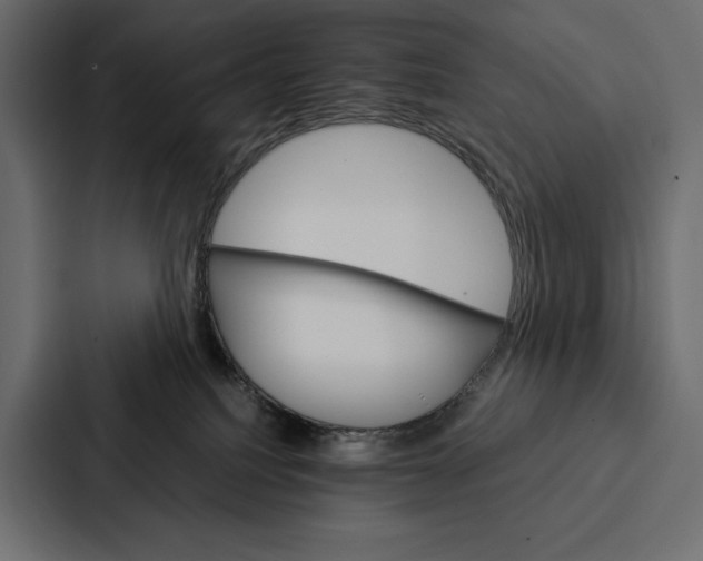 X0000086790088200705111824