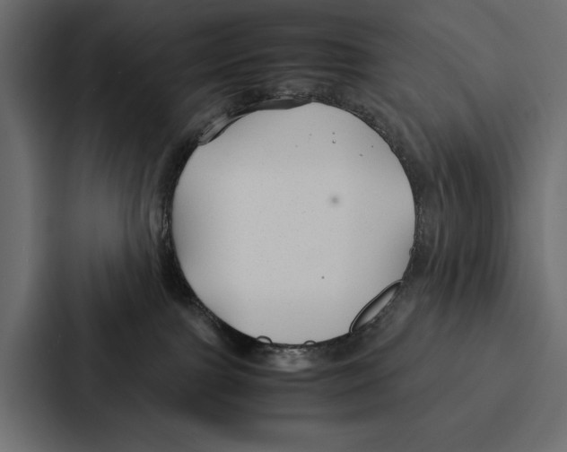 X0000086790091200705111824