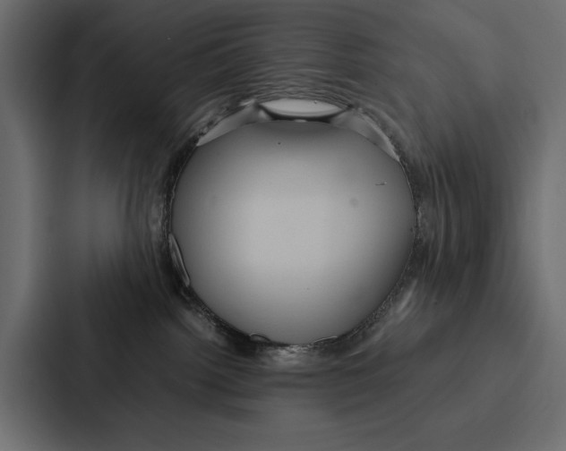 X0000086790092200705111824