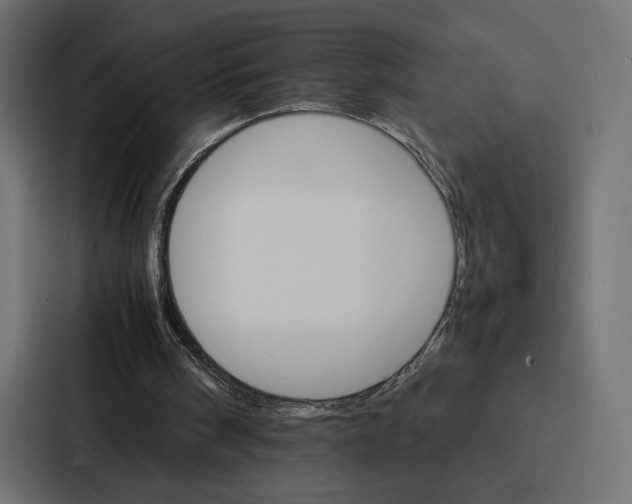 X0000086790098200705111823