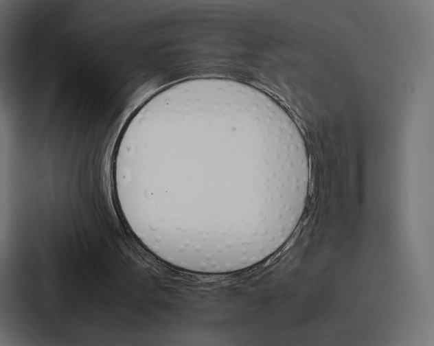 X0000086790099200705111823