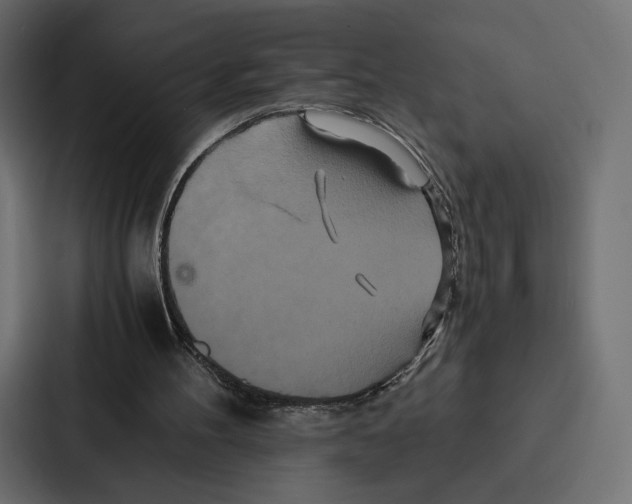 X0000086790100200705111823