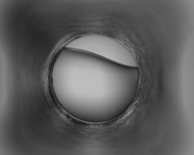 X0000086790101200705111823