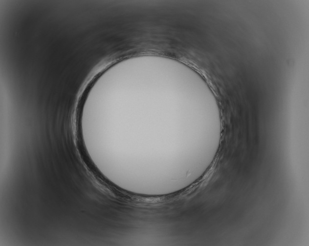 X0000086790102200705111823