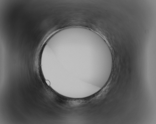 X0000086790103200705111823