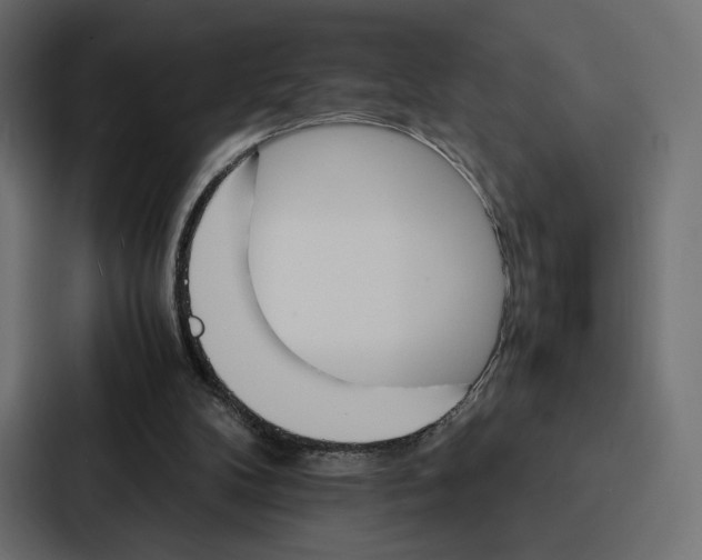 X0000086790104200705111823