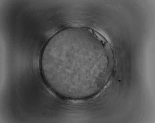 X0000086790105200705111823