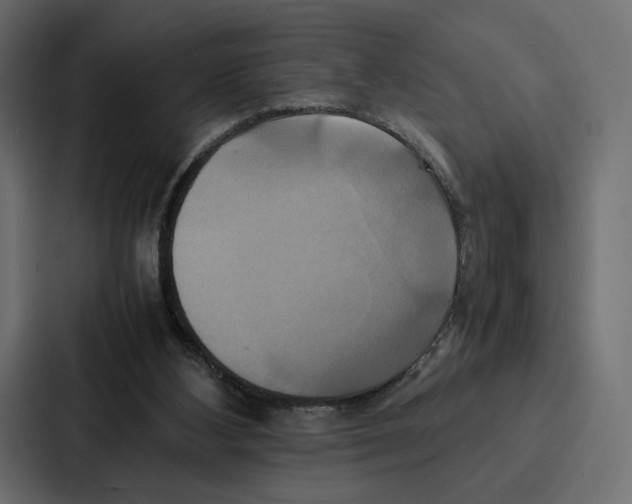 X0000086790108200705111823