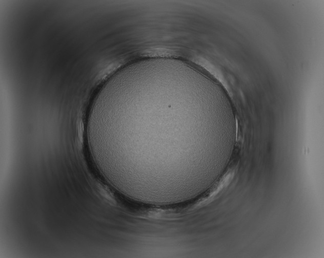 X0000086790109200705111823