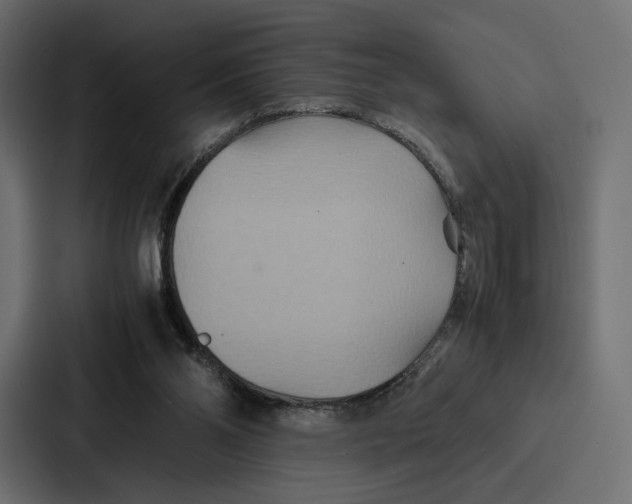 X0000086790110200705111823