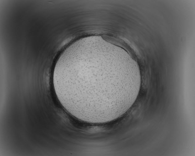 X0000086790111200705111823