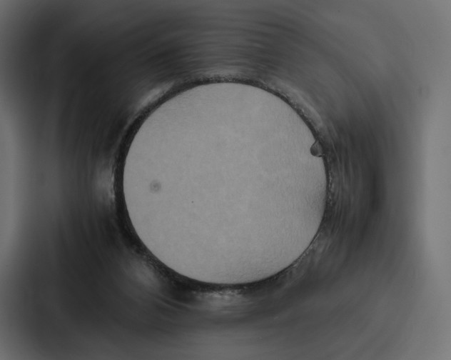 X0000086790112200705111823