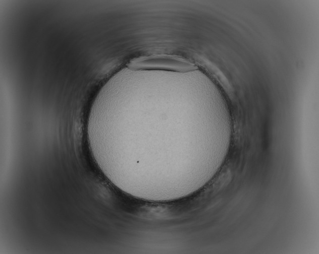 X0000086790113200705111823