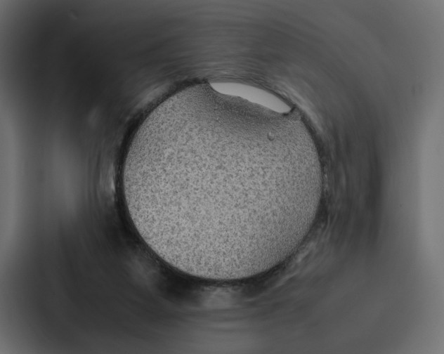 X0000086790115200705111823