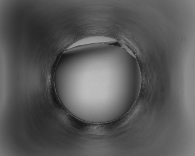 X0000086790117200705111823