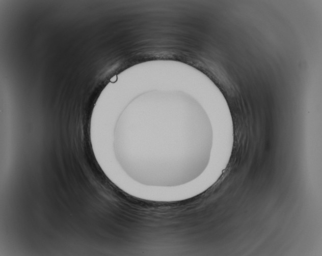 X0000086790120200705111823