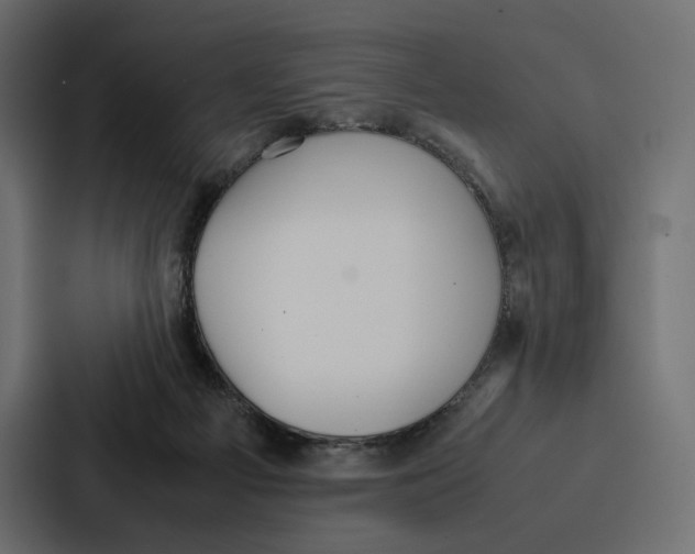 X0000086790121200705111823