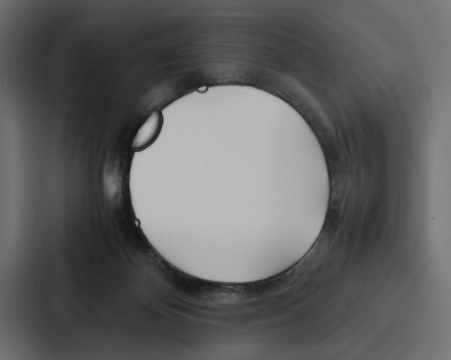 X0000086790124200705111823