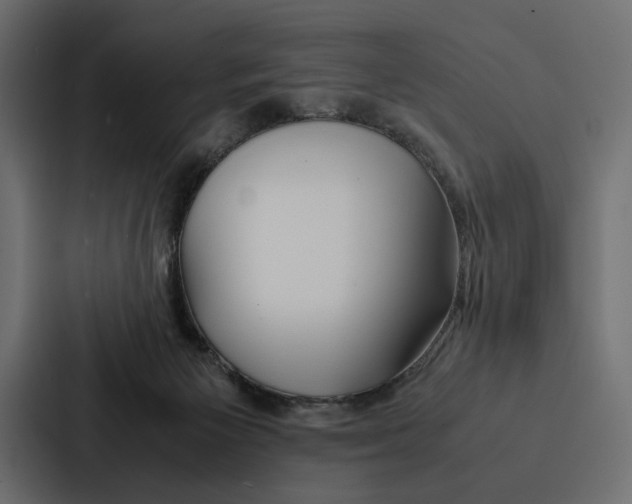 X0000086790125200705111823