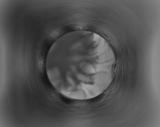 X0000086790127200705111823