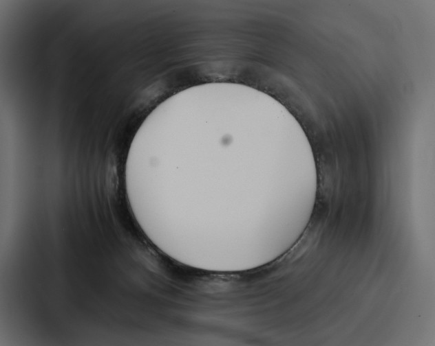 X0000086790128200705111823