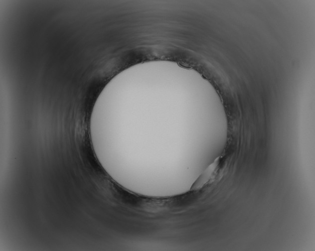 X0000086790129200705111823