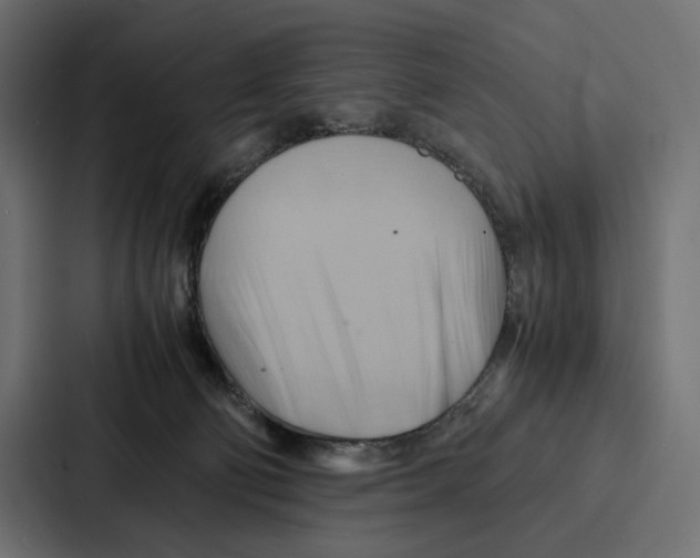 X0000086790130200705111823