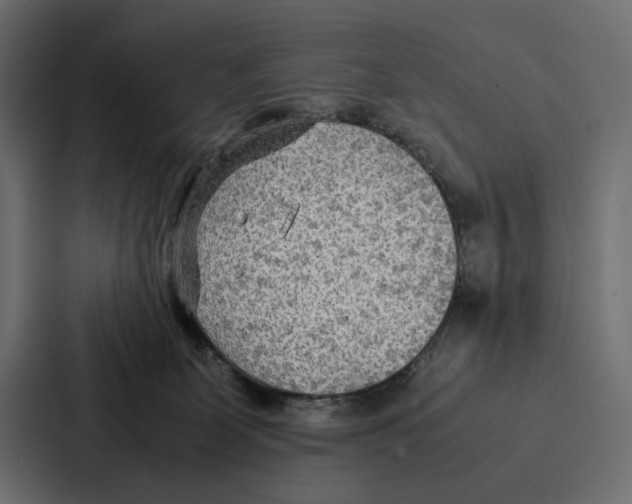 X0000086790131200705111823